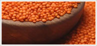 Products - Pulses